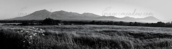 A large meadow in Hokkaido shows grass covered in dewdrops under morning light. Mountains stand in the background, creating an open view of nature. Presented as