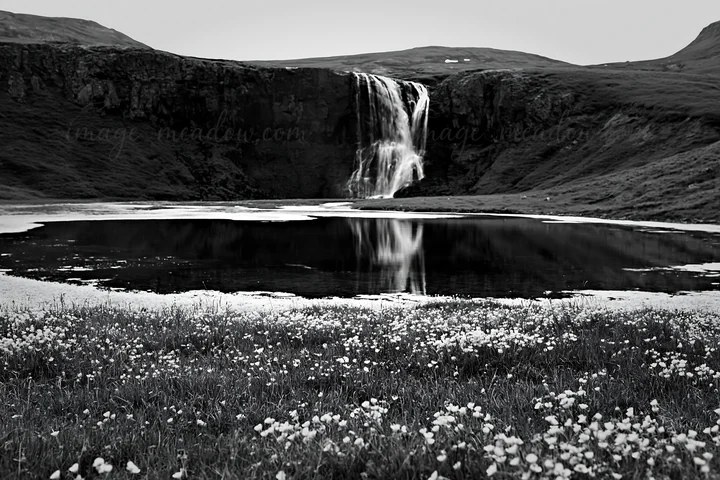 A waterfall flows into a dark pool surrounded by a flower meadow. The scene captures the reflection of the waterfall in the water. This location is set in a nat
