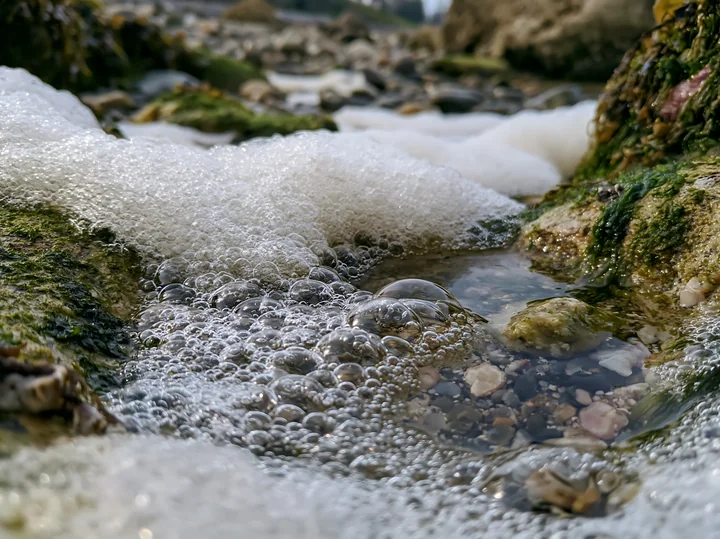 Foamy bubbles gather in a narrow stream between wet rocks along a coastline with exposed rocks.