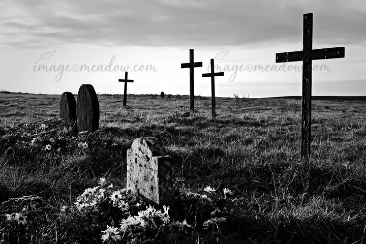 Four Christian crosses stand in a quiet winter meadow. The ground is covered with grass and scattered flowers. The sky is cloudy, creating a somber atmosphere.
