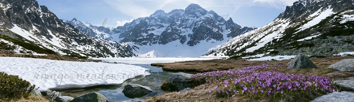 A meadow near a frozen tarn surrounded by mountains. Snow covers parts of the landscape, while purple flowers bloom near the water. The scene shows the contrast