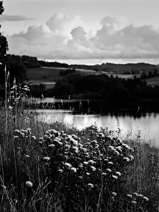 A meadow by a German lake features purple flowers along the water's edge. Clouds fill the sky above, while green fields extend in the background. Presented as a