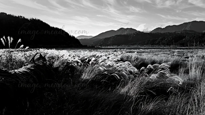 A mossy log lays in a meadow, surrounded by tall grass. The landscape features distant mountains and open fields under a bright sky. Presented as a premium high