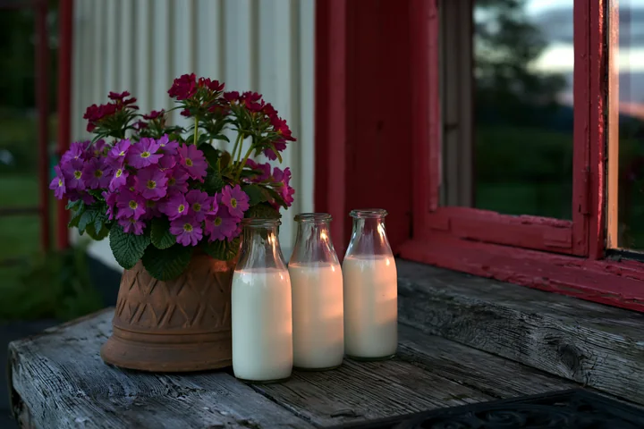 Glass milk bottles on a doorstep at sunrise sit next to a flower pot with blooming flowers.