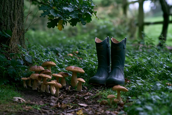 Green boots and clusters of mushrooms sit in a meadow beneath an oak tree.