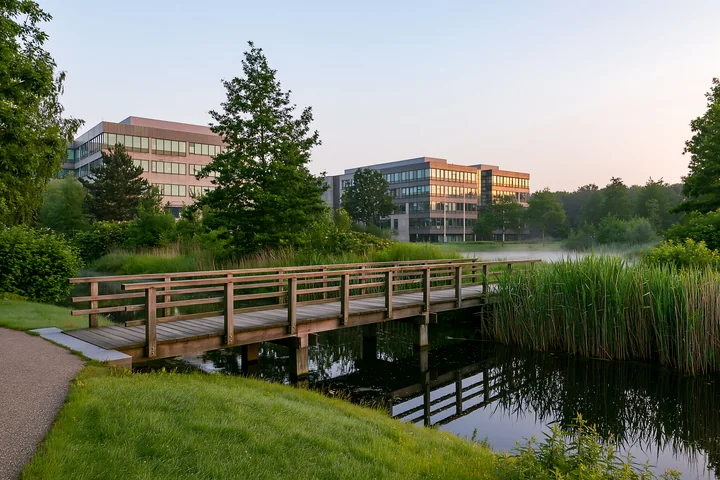 Green grass surrounds a wooden bridge over calm water, reflecting nearby buildings in an urban setting.