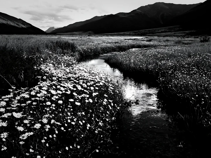 A winding stream flows through a meadow filled with flowers and grass, surrounded by mountains in the background. This scene captures a moment in nature with a