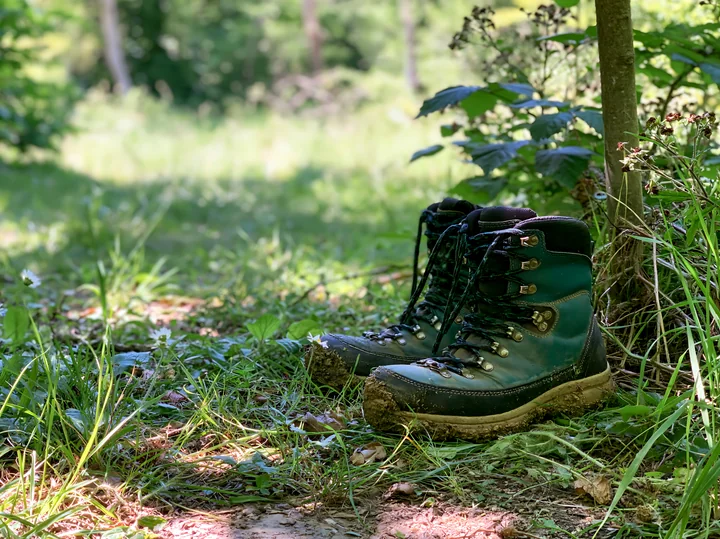 Hiking boots sit on the ground surrounded by green grass and plants, in a forest area with trees in the background.