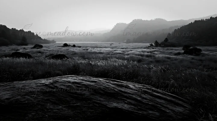The scene shows a meadow in Hiroshima covered in rain. A smooth rock is in the foreground with tall grass and distant hills in the background. Presented as a pr