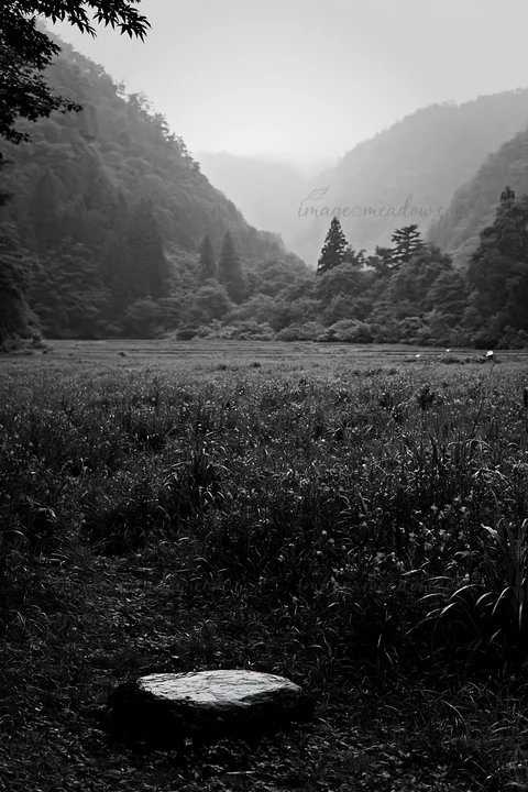 In Hiroshima, a smooth rock sits in a meadow filled with wildflowers. The scene captures rain-soaked grass and distant mountains shrouded in mist. Presented as