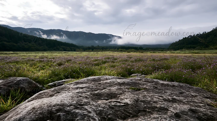 A smooth rock sits in the foreground of a meadow in Hiroshima. The landscape features lush grass and scattered flowers under an overcast sky. Rain clouds hover