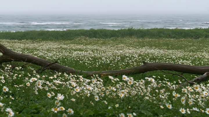A storm washed driftwood lies on a coastal meadow filled with wildflowers near the Ishikawa coast. The waves crash in the background under a cloudy sky. The sce