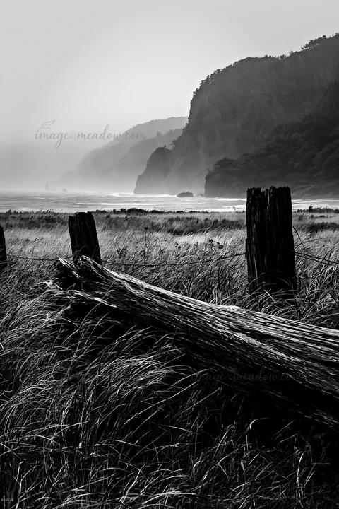 Driftwood lies on the coastal meadow of Ishikawa after a storm. The rugged cliffs and distant shoreline create a dramatic backdrop. The wet grass sways gently i