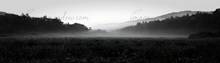 Water droplets cling to meadow seedheads in Iwate, Japan, following a rain shower. The mist rises softly over the landscape as the scenery blends with distant h