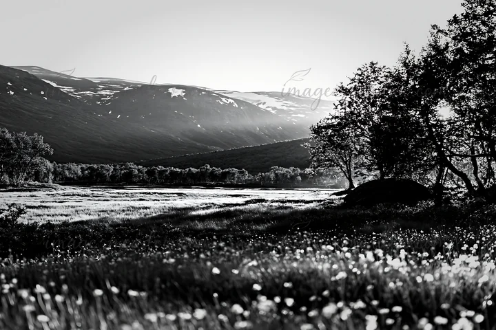 Sunlight breaks through in the Jotunheimen valley, highlighting the meadow. Trees stand in the foreground while mountains loom in the background. This scene cap