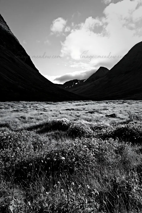 Sunbeams shine over the meadow in Jotunheimen valley. The grass is green, and wildflowers are scattered throughout the field. Mountains rise on either side, cre