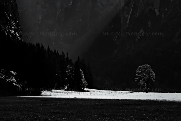 Light rays shine over a meadow in Lauterbrunnen Valley, Switzerland. Dark trees outline the field, adding contrast to the landscape. The scene captures nature i