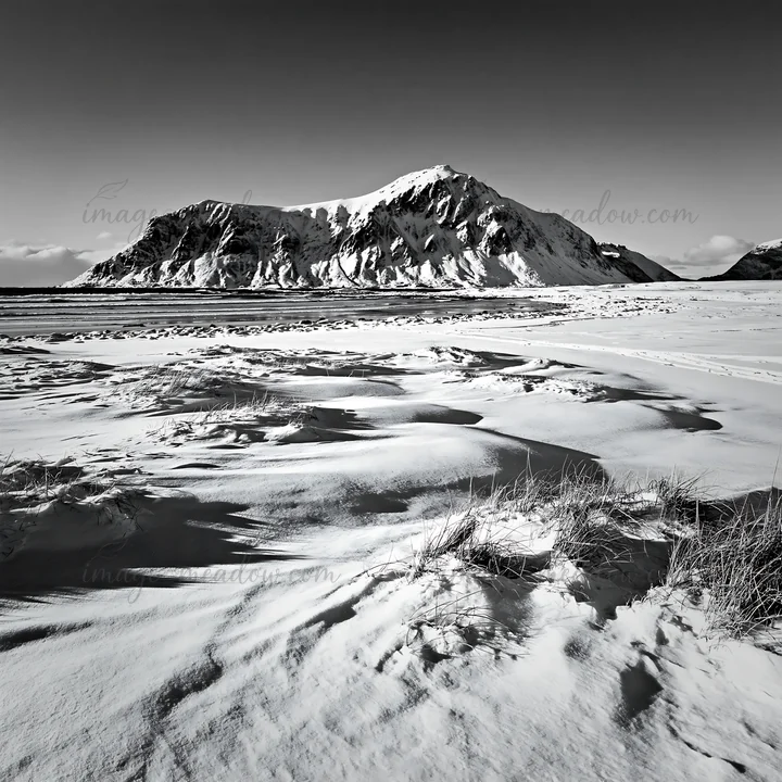 Snow blankets the coastal meadow in Lofoten, with mountains in the background. The scene captures the stark contrasts of black and white. Winter conditions crea