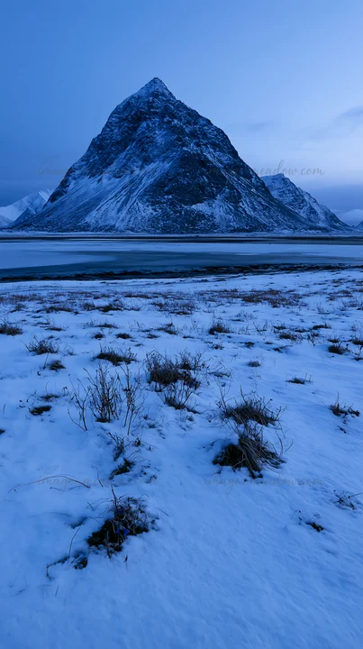 Snow covers the meadow in the Lofoten region during winter. A prominent mountain rises in the background against a blue sky. The scene captures the cold and qui