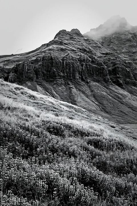 A meadow filled with vegetation lies beneath rocky crags. The scene features a cloudy sky above the mountains, creating a dramatic atmosphere. This landscape sh