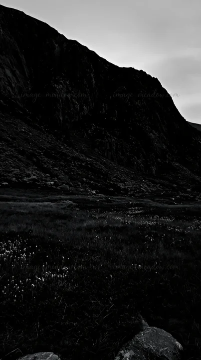 A meadow is visible under dark crags. Small white flowers dot the grassy area. The light is fading, creating shadows on the rocky landscape. The scene captures