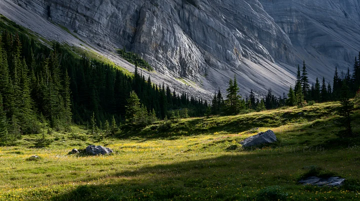 Meadow situated beneath crags with scattered rocks and trees. The scene captures the natural light illuminating the grass and the textures of the rocky terrain.