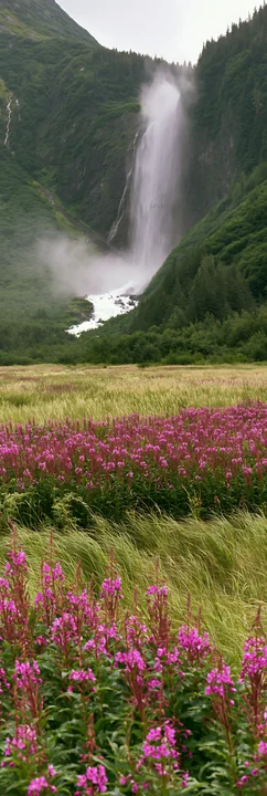 A meadow covered in flowers is located beneath a waterfall. The waterfall cascades down a mountain, surrounded by green hills and mist. This scene captures natu