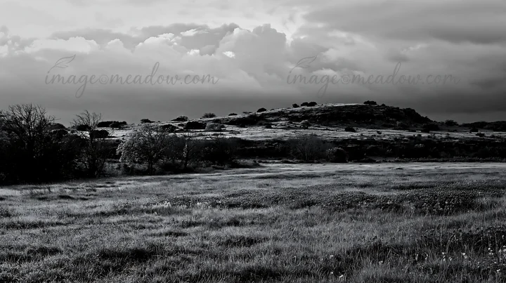 A meadow is covered in dew during the late afternoon. A dark sky with clouds looms over the landscape. Trees are visible in the distance, and the grass appears
