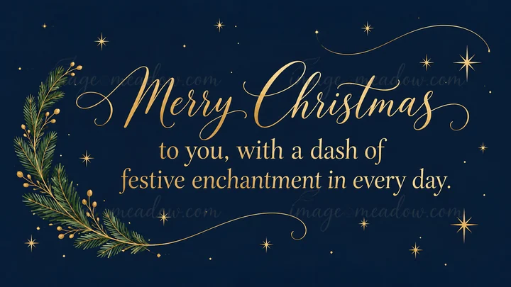 A navy Christmas greeting features gold script reading “Merry Christmas” above the message “to you, with a dash of festive enchantment in every day.” Evergreen