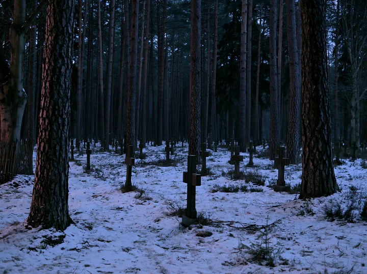 Military graves beside a forest at night show tombstones arranged among tall trees in a snowy landscape.