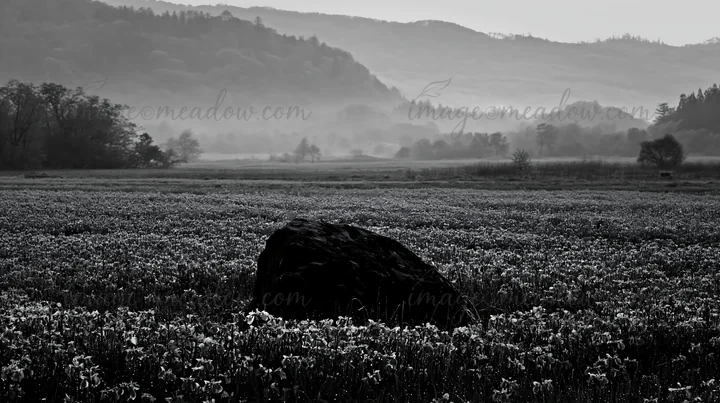 A mossy stone is surrounded by blooming flowers in a meadow. The landscape shows distant mountains and a soft morning light highlighting the scene. Presented as