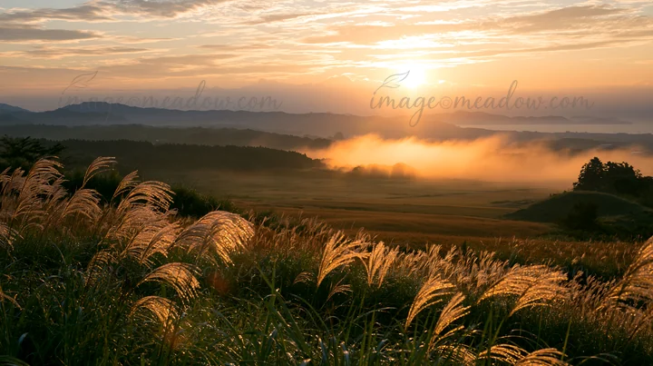 Sunrise fills the sky as dew-covered sedges stand in a meadow in Miyazaki. The landscape features rolling hills and distant mountains, creating a scenic view wi