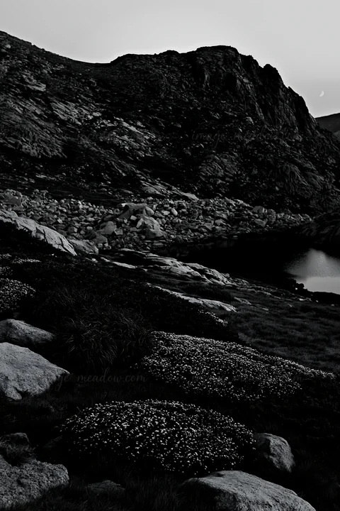 A meadow is illuminated by moonlight, featuring scattered rocks and low vegetation. The hills rise in the background, creating a natural landscape at dusk. The