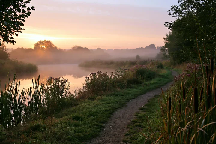 Morning light breaks through fog as the sun rises over a natural pond, with flowers lining the water's edge and a dirt path winding through the landscape near t