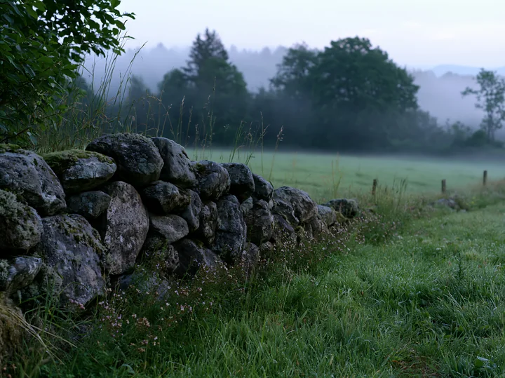 Morning mist covers the meadow while a stone wall lines the edge of the field.