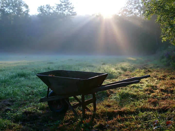 Morning sunbeams over a misty meadow highlight a wheelbarrow resting on the grass.