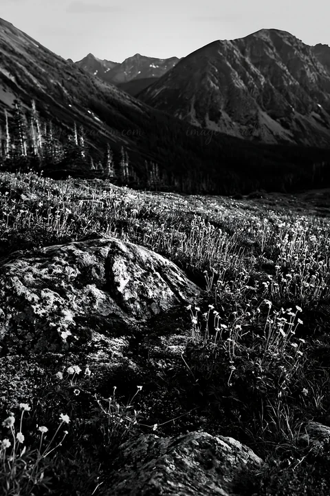 A boulder covered in moss sits in a meadow filled with flowers and grass, surrounded by mountains under a clear sky during sunset. The scene showcases natural b