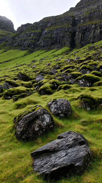 A meadow features several large boulders covered in moss, surrounded by green grass. The rocky hillside in the background completes the natural scene.