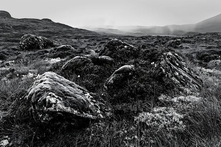 Moss-covered boulders are scattered across a meadow in a remote landscape. The terrain features rolling hills and a cloudy sky, creating a moody atmosphere of n
