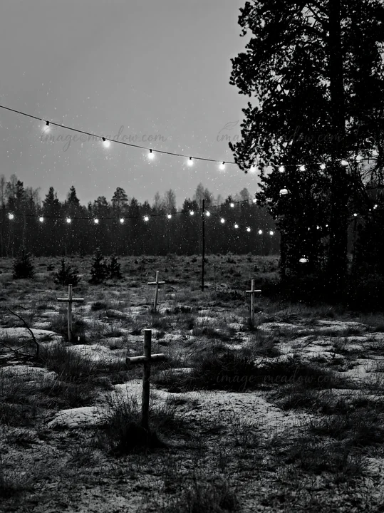 Crosses stand in a snowy meadow surrounded by trees. Soft lights hang above, creating a contrast with the darkness. Snowflakes fall gently, adding a serene touc