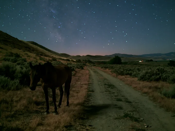 Mustangs graze quietly under a starry sky in a desert setting.