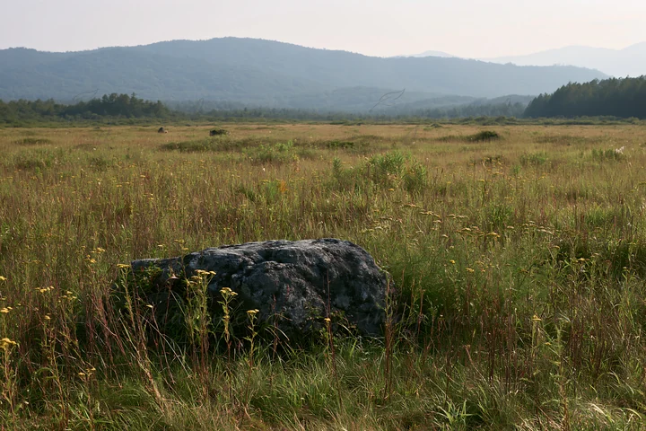A granite boulder is located in a drought resilient meadow in Nagano. Grasses and wildflowers surround the boulder, and the mountains form a backdrop under a cl