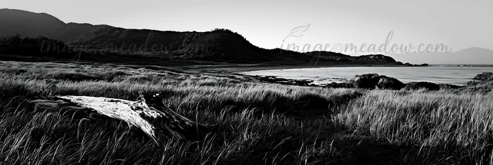 Driftwood lies in the foreground of a coastal meadow in Nagasaki. Tall grasses and gentle hills are visible as the sun sets over the water. Presented as a premi
