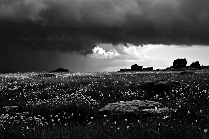 A highland meadow in Oita features granite stones scattered across the land. Small white flowers grow among the grass. Dark clouds loom above, hinting at an app