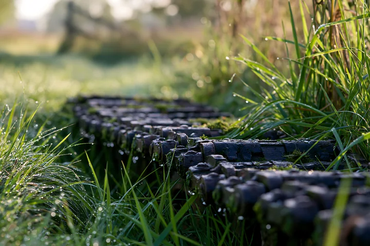 Panzer tank tracks are seen close-up, resting on wet grass in a natural setting with morning dew.