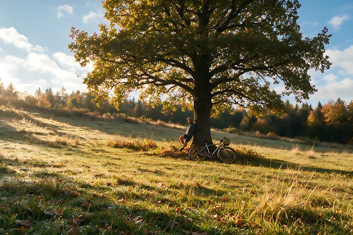 Person resting beside a bicycle beneath a large oak tree in a sunlit autumn meadow.