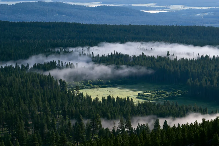 A lush pine forest meadow is visible, surrounded by green trees and mist. The setting showcases natural beauty in a mountainous area during daylight.