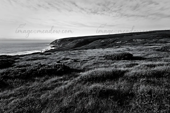 The view shows a meadow stretching over a hillside near the Atlantic coast in Portugal. Grass and shrubs cover the land as the coast and ocean are visible in th