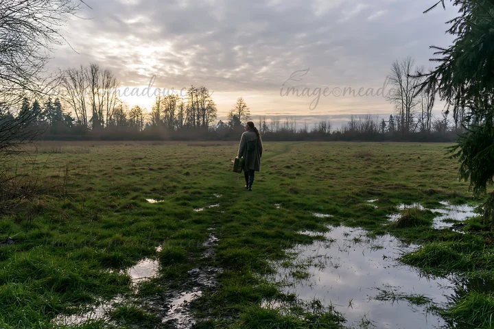 A person walks through a grassy meadow during sunset. Puddles are visible on the ground, reflecting the sky. Trees line the edges of the field, creating a natur