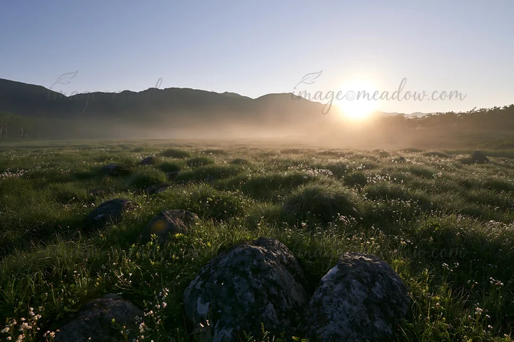 Sunrise casts soft light over a meadow filled with silver grass and stones. The landscape shows distant mountains and mist rising in the early morning air.